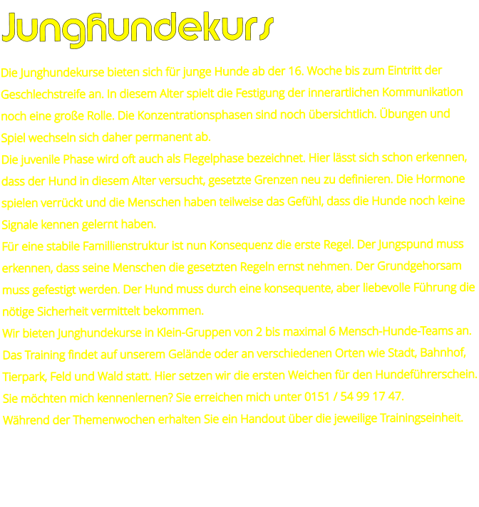 Junghundekurs Die Junghundekurse bieten sich für junge Hunde ab der 16. Woche bis zum Eintritt der Geschlechstreife an. In diesem Alter spielt die Festigung der innerartlichen Kommunikation noch eine große Rolle. Die Konzentrationsphasen sind noch übersichtlich. Übungen und Spiel wechseln sich daher permanent ab. Die juvenile Phase wird oft auch als Flegelphase bezeichnet. Hier lässt sich schon erkennen, dass der Hund in diesem Alter versucht, gesetzte Grenzen neu zu definieren. Die Hormone spielen verrückt und die Menschen haben teilweise das Gefühl, dass die Hunde noch keine Signale kennen gelernt haben. Für eine stabile Famillienstruktur ist nun Konsequenz die erste Regel. Der Jungspund muss erkennen, dass seine Menschen die gesetzten Regeln ernst nehmen. Der Grundgehorsam muss gefestigt werden. Der Hund muss durch eine konsequente, aber liebevolle Führung die nötige Sicherheit vermittelt bekommen.  Wir bieten Junghundekurse in Klein-Gruppen von 2 bis maximal 6 Mensch-Hunde-Teams an. Das Training findet auf unserem Gelände oder an verschiedenen Orten wie Stadt, Bahnhof, Tierpark, Feld und Wald statt. Hier setzen wir die ersten Weichen für den Hundeführerschein. Sie möchten mich kennenlernen? Sie erreichen mich unter 0151 / 54 99 17 47. Während der Themenwochen erhalten Sie ein Handout über die jeweilige Trainingseinheit.